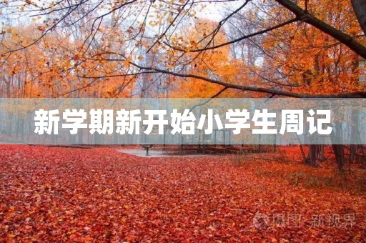 新学期新开始小学生周记 新学期新开始小学生周记