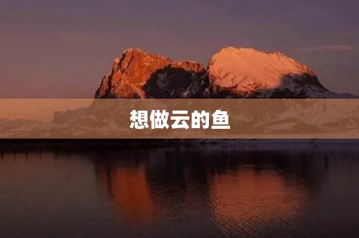 想做云的鱼