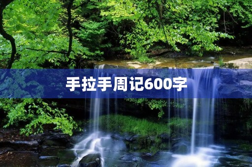 手拉手周记600字