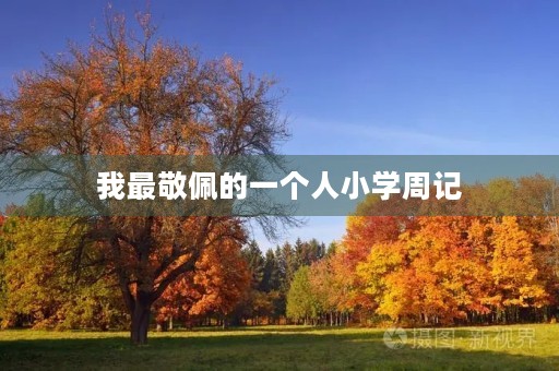 我最敬佩的一个人小学周记 我最敬佩的一个人小学周记