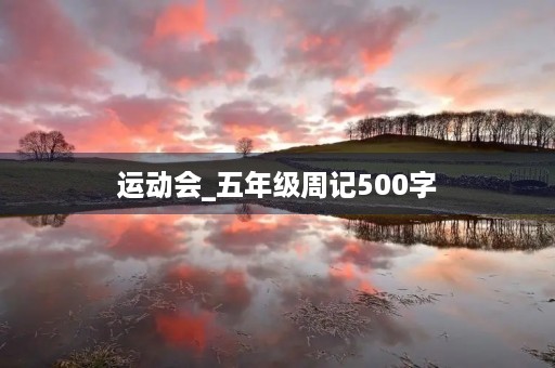 运动会_五年级周记500字