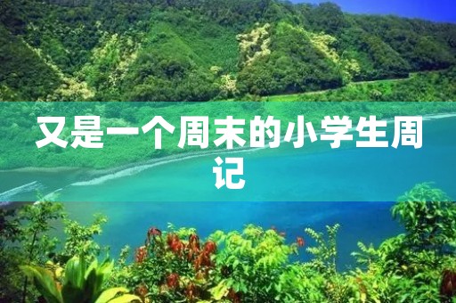 又是一个周末的小学生周记 又是一个周末的小学生周记