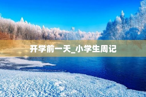 开学前一天_小学生周记