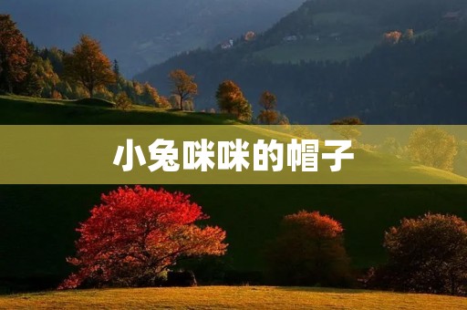 小兔**的帽子 小兔**的帽子