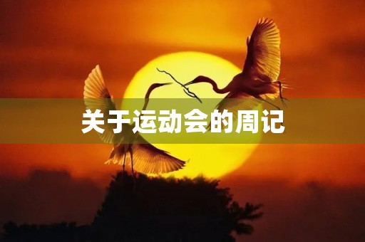 关于运动会的周记 关于运动会的周记