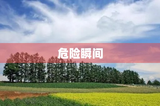 危险瞬间 危险瞬间