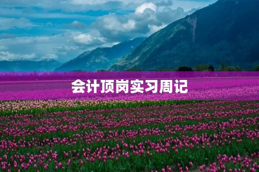 会计顶岗实习周记 会计顶岗实习周记