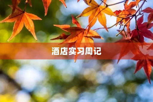 酒店实习周记 酒店实习周记