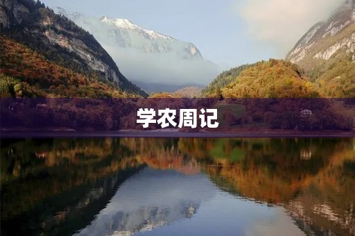 学农周记