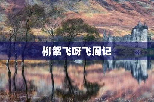 柳絮飞呀飞周记 柳絮飞呀飞周记