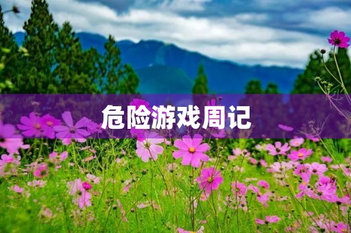 危险游戏周记