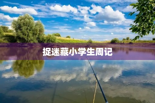 捉迷藏小学生周记