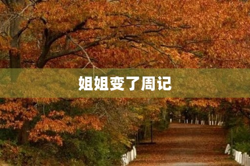 姐姐变了周记 姐姐变了周记