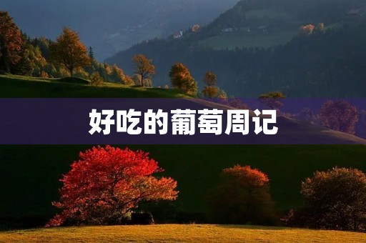 好吃的葡萄周记