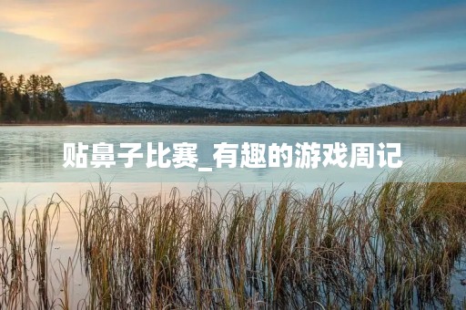 贴鼻子比赛_有趣的游戏周记 贴鼻子比赛_有趣的游戏周记
