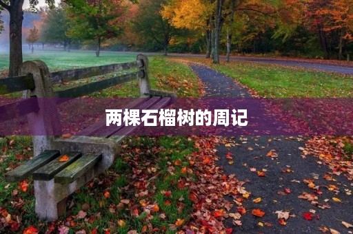 两棵石榴树的周记 两棵石榴树的周记