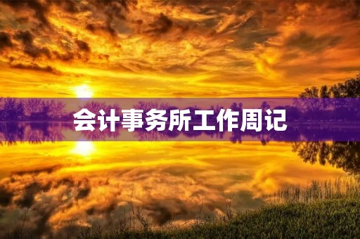 会计事务所工作周记 会计事务所工作周记
