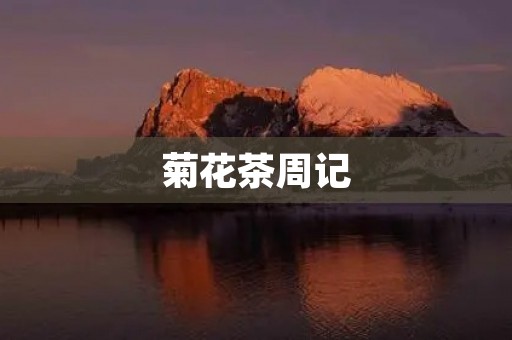 菊花茶周记 菊花茶周记