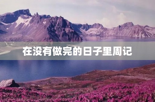 在没有做完的日子里周记 在没有做完的日子里周记