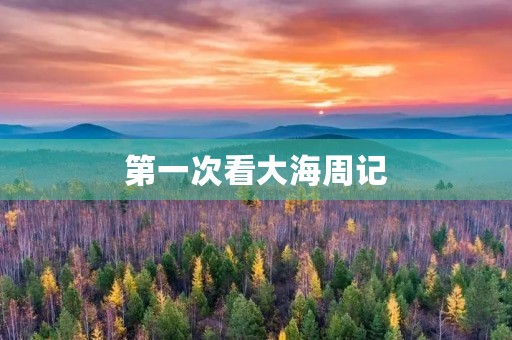 第一次看大海周记 第一次看大海周记