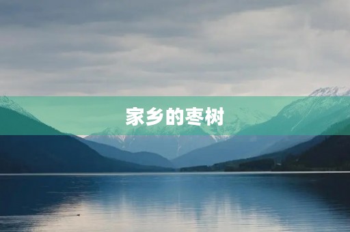 家乡的枣树 家乡的枣树