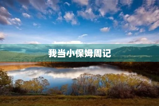 我当小保姆周记
