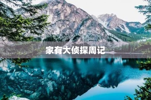 家有大侦探周记