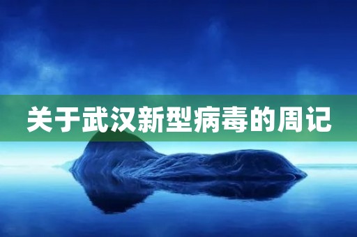 关于武汉新型病毒的周记