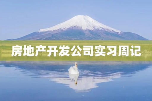 房地产开发公司实习周记 房地产开发公司实习周记
