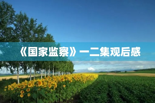 《国家监察》一二集观后感