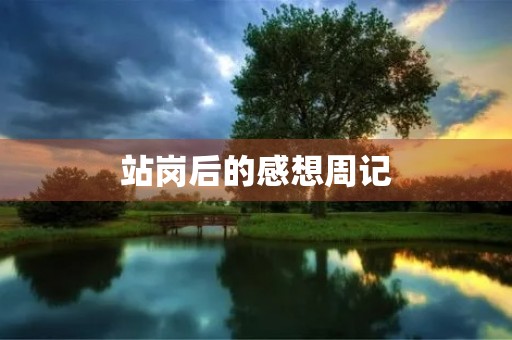 站岗后的感想周记