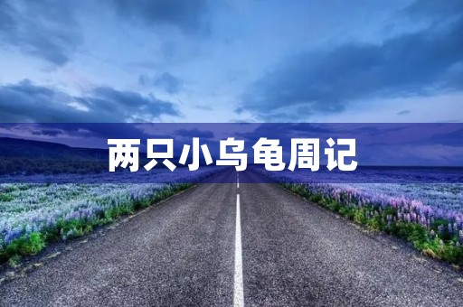 两只小乌龟周记 两只小乌龟周记