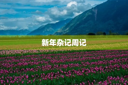 新年杂记周记 新年杂记周记