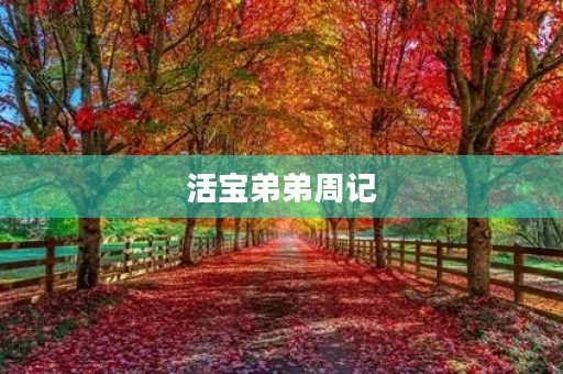 活宝弟弟周记 活宝弟弟周记