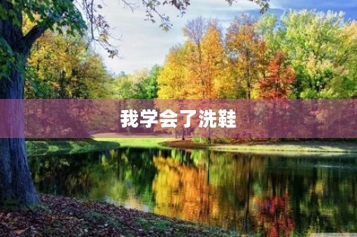 我学会了洗鞋