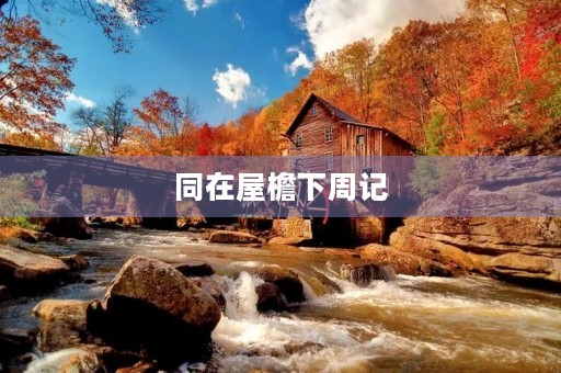 同在屋檐下周记 同在屋檐下周记