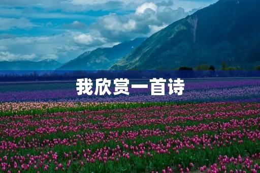 我欣赏一首诗 我欣赏一首诗