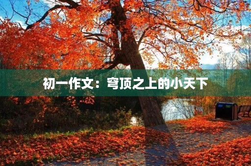 初一作文:穹顶之上的小天下 初一作文:穹顶之上的小天下