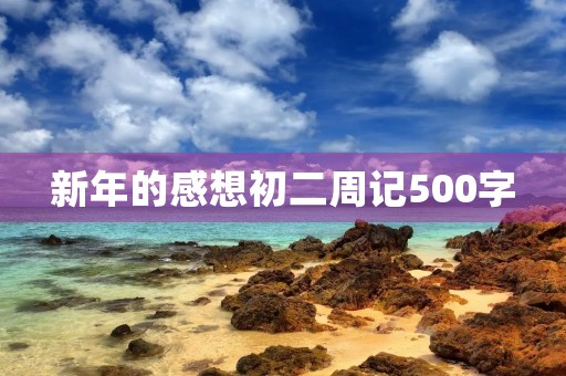 新年的感想初二周记500字 新年的感想初二周记500字