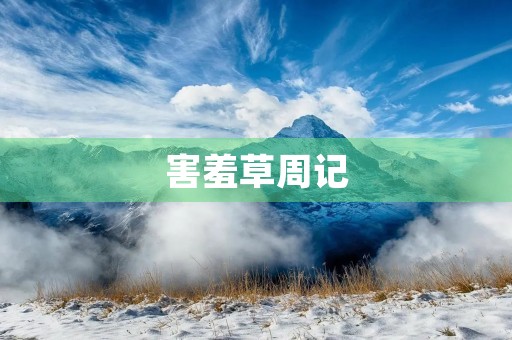 害羞草周记