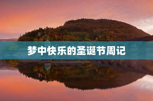 梦中快乐的圣诞节周记 梦中快乐的圣诞节周记