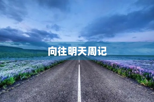 向往明天周记 向往明天周记