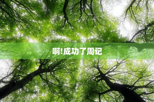 啊!成功了周记