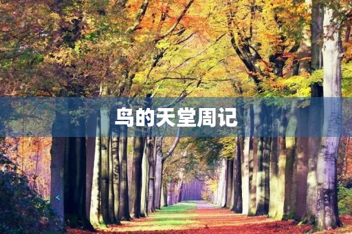 鸟的天堂周记