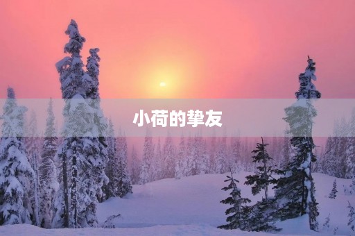 小荷的挚友