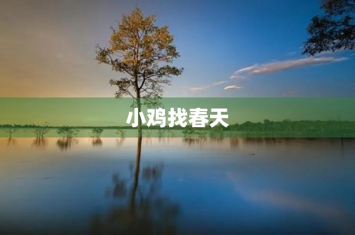 小鸡找春天