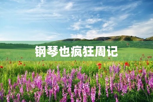 钢琴也疯狂周记
