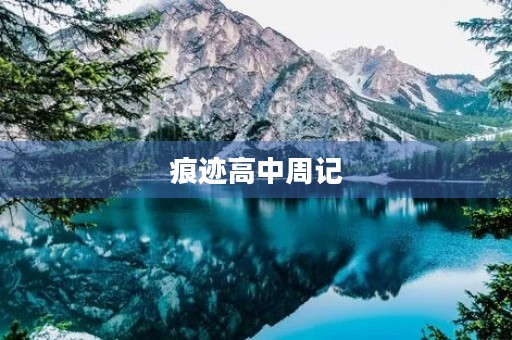 痕迹高中周记 痕迹高中周记