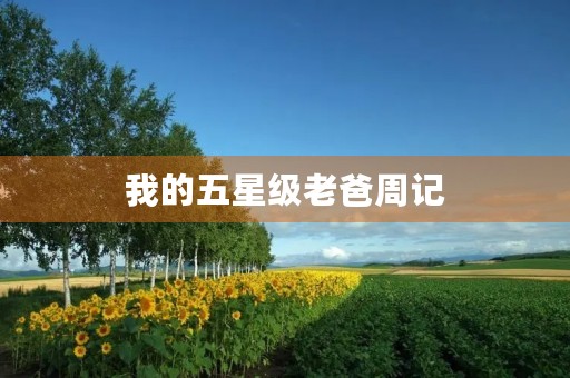 我的五星级老爸周记 我的五星级老爸周记
