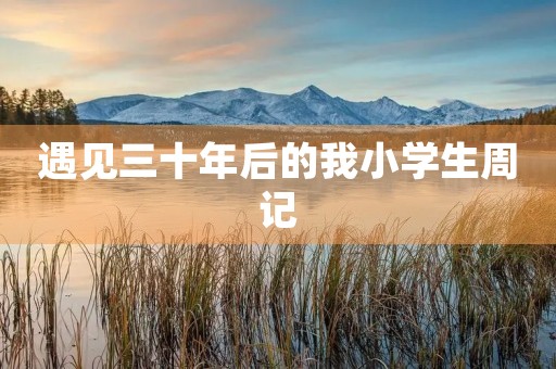 遇见三十年后的我小学生周记 遇见三十年后的我小学生周记
